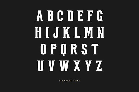 BARBER - Vintage Serif  in Display Fonts - product preview 4
