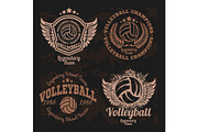 Set Badges logos volleyball teams