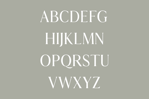 Aadam A Modern Serif Font Family in Serif Fonts - product preview 2