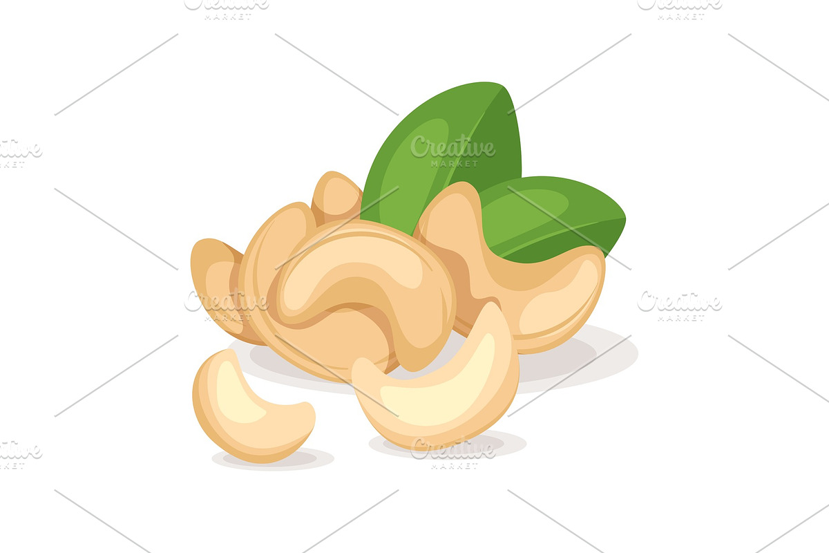 Cashew nut kernels  in Illustrations - product preview 8