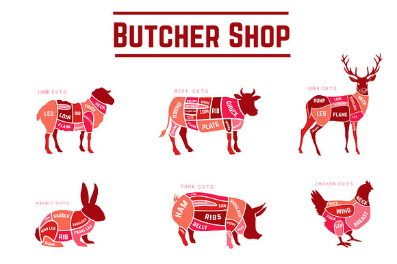 Farm animals cuts set in 3 styles in Illustrations - product preview 3