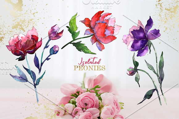 Peony Tenderness Watercolor png in Illustrations - product preview 3