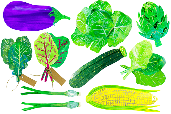 Beautiful Vegetables Clip Art in Illustrations - product preview 2