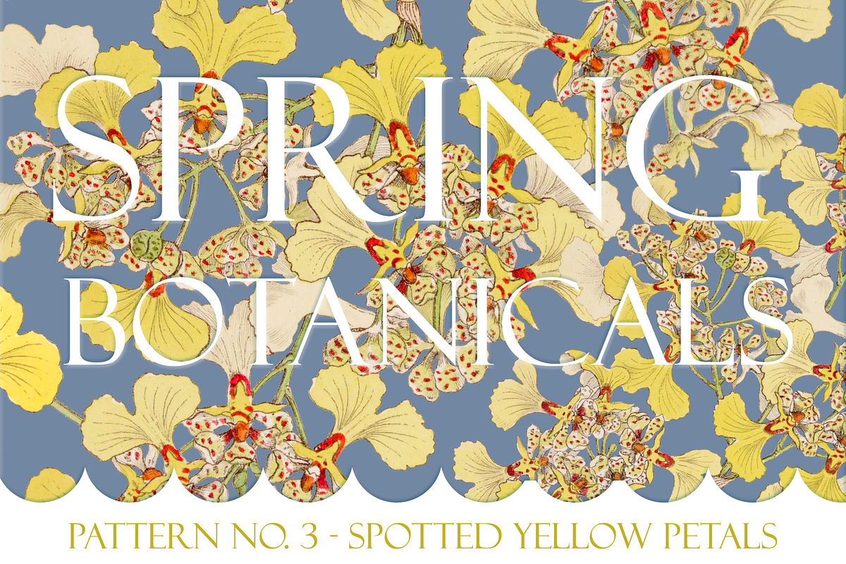 Spring Botanical - Pattern No. 3 in Illustrations - product preview 8