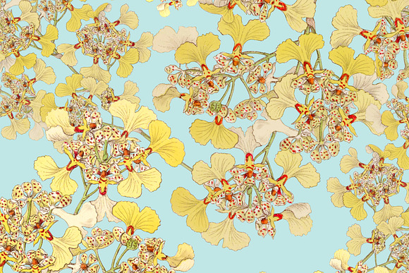 Spring Botanical - Pattern No. 3 in Illustrations - product preview 2