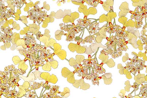Spring Botanical - Pattern No. 3 in Illustrations - product preview 3