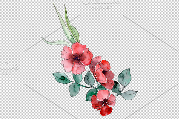 Wildflowers Watercolor png  in Illustrations - product preview 1
