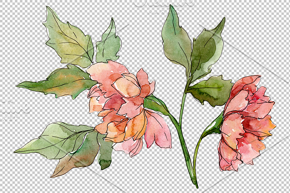 Wildflowers Watercolor png  in Illustrations - product preview 2