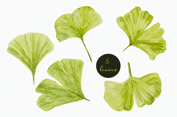 Watercolor Ginkgo Clip Art & Pattern in Patterns - product preview 1