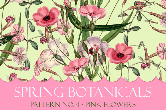 Spring Botanical - Pattern No. 4 in Patterns - product preview 2