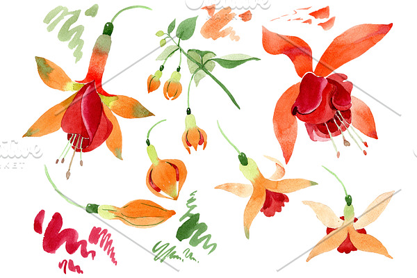 Orange Fuchsia Watercolor png