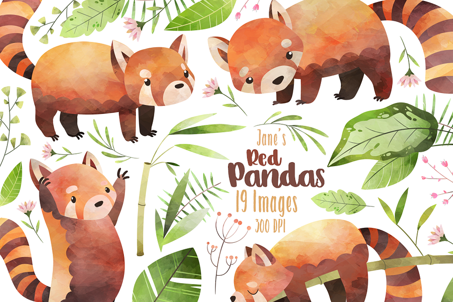 Watercolor Red Pandas Clipart in Illustrations - product preview 8