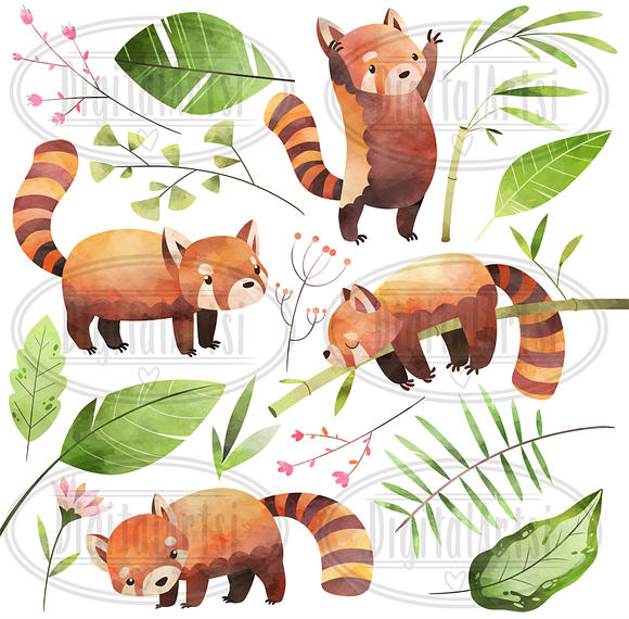 Watercolor Red Pandas Clipart in Illustrations - product preview 1