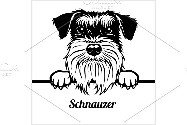 Weimaraner - Peeking Dogs - - breed
