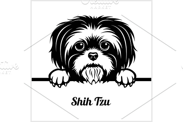 Shih Tzu - Peeking Dogs - - breed