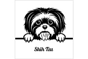 Shih Tzu - Peeking Dogs - - breed