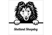 Shetland Sheepdog - Peeking Dogs - -