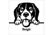Beagle - Peeking Dogs - - breed face
