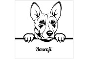 Basenji - Peeking Dogs - - breed