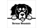 Bernese Mountain - Peeking Dogs - -