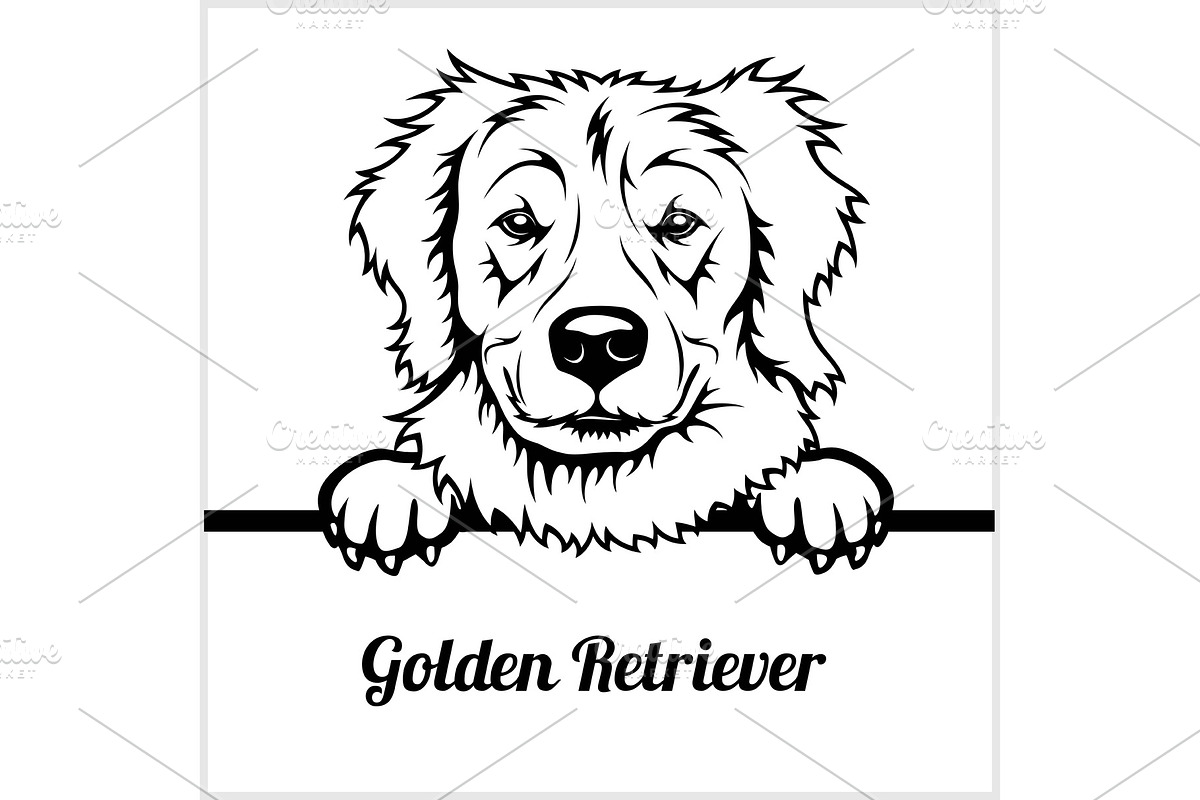 Golden Retriever - Peeking Dogs - - in Illustrations - product preview 8