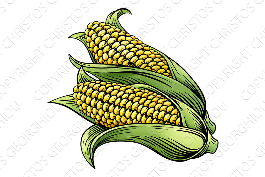 Sweet Corn Ear Maize Woodcut Etching