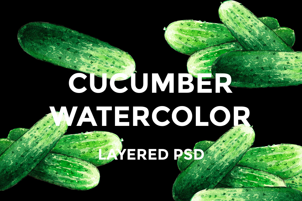 Cucumber watercolor illustrations in Illustrations - product preview 8