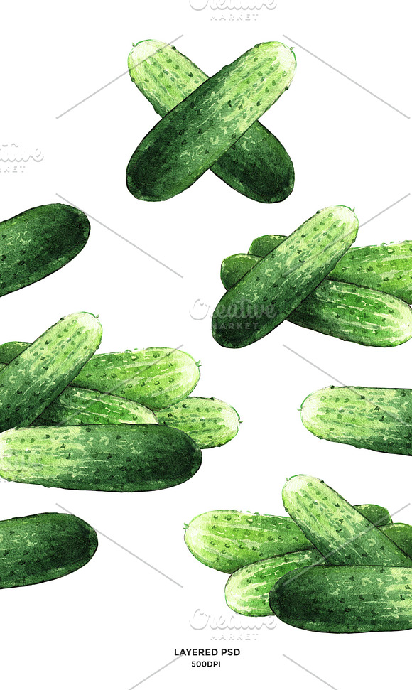 Cucumber watercolor illustrations in Illustrations - product preview 1