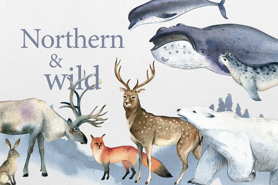 Northern and wild in Illustrations - product preview 8