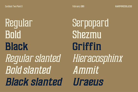 Sunblast 2.0 in Display Fonts - product preview 2