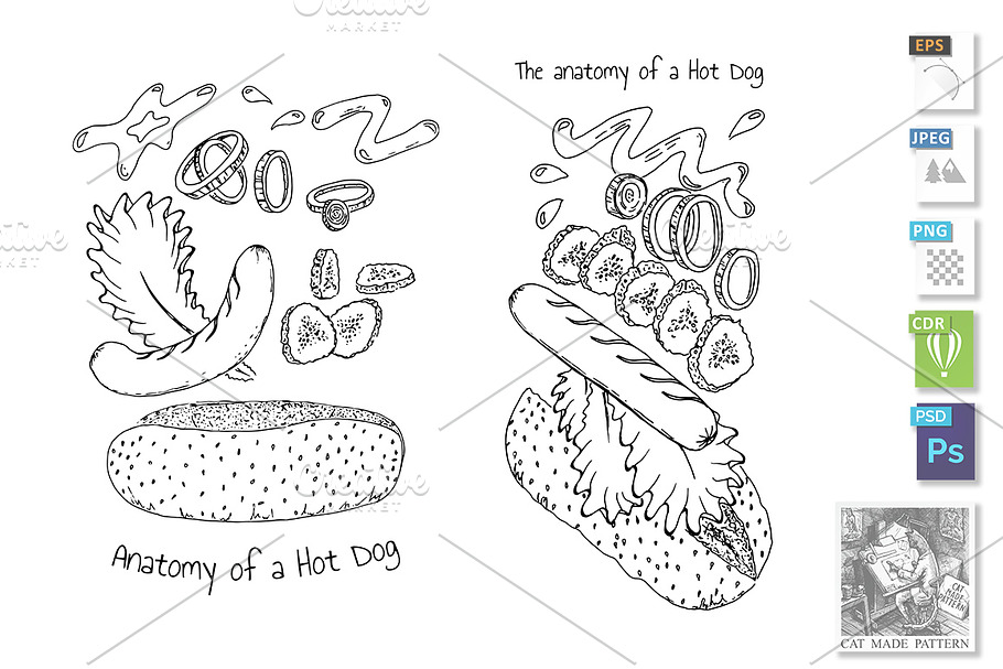 The anatomy of a Hot Dog in Illustrations - product preview 8