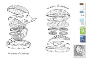 Fast food concept. Anatomy of Hambur