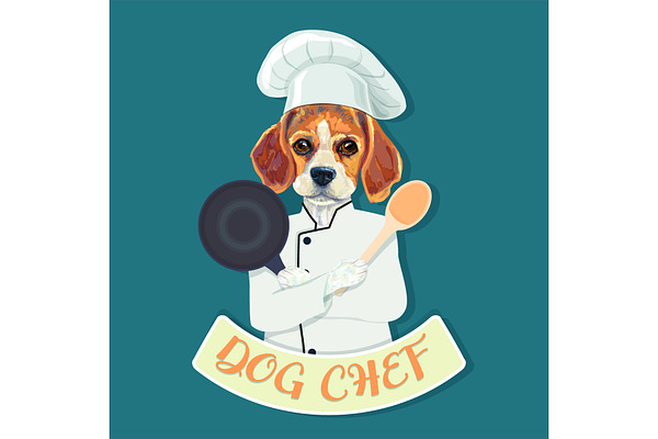 Funny beagle dog chef.