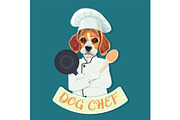 Funny beagle dog chef.