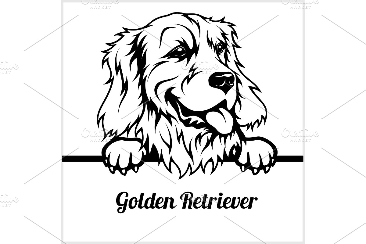 Golden Retriever - Peeking Dogs - - in Illustrations - product preview 8