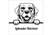 Labrador Retriever - Peeking Dogs -