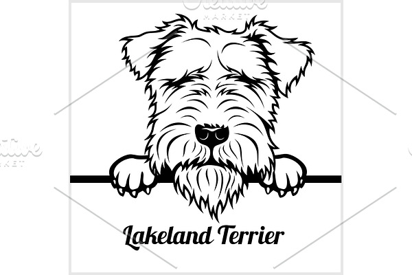 Lakeland Terrier - Peeking Dogs - -