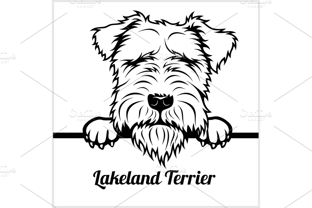 Lakeland Terrier - Peeking Dogs - - in Illustrations - product preview 8