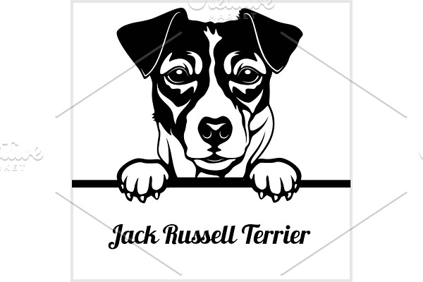Jack Russell Terrier - Peeking Dogs