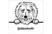 Goldendoodle - Peeking Dogs - -