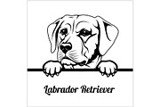 Labrador Retriever - Peeking Dogs -