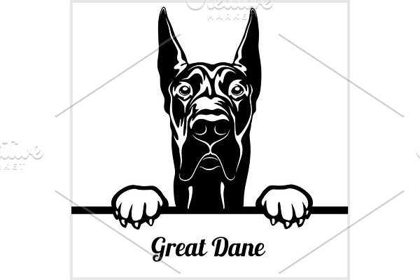 Great Dane - Peeking Dogs - - breed