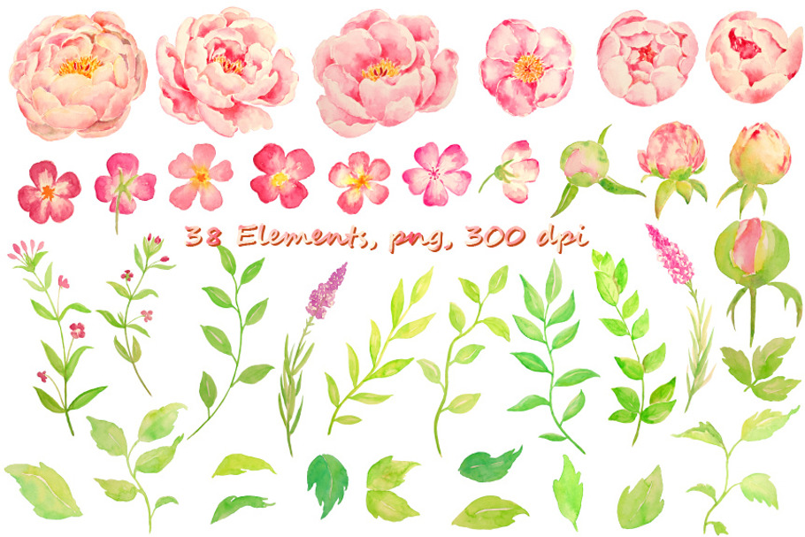 Wedding Pink Peony Peach Peony in Illustrations - product preview 8