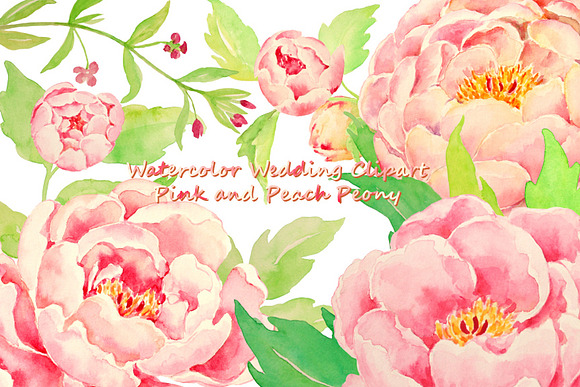 Wedding Pink Peony Peach Peony in Illustrations - product preview 1