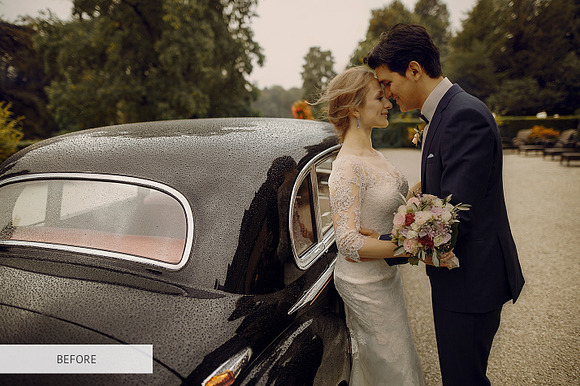 Wedding Presets Complete Collection in Photoshop Plugins - product preview 9