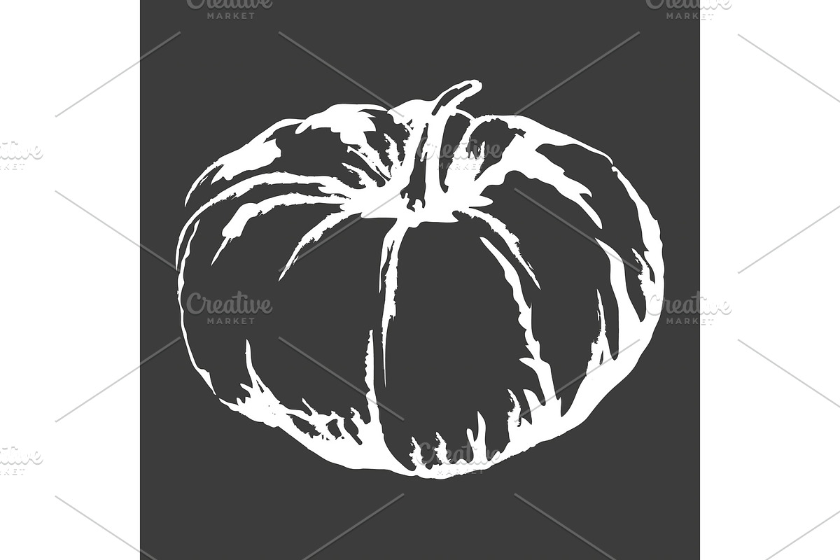 Big Ripe Pumpkin Isolated White in Illustrations - product preview 8