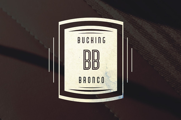 Bronco Typeface in Display Fonts - product preview 3