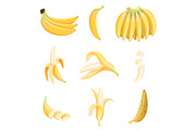 Banana cartoon. Fruits half