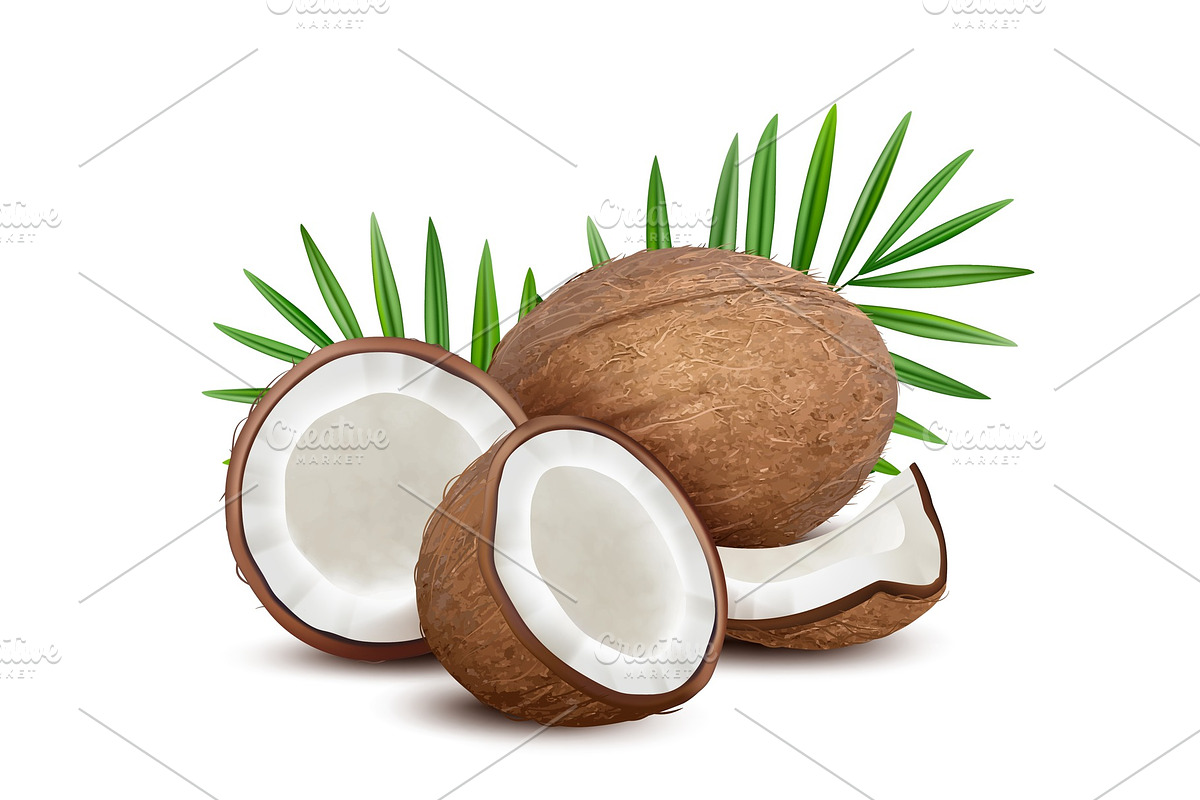 Coconut. Fresh tropical opened coco in Graphics - product preview 8