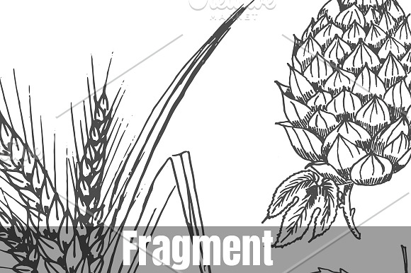 Set of brewing ingredients in Illustrations - product preview 1